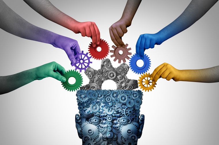 Neural Mechanisms Behind Consumer Decision-Making